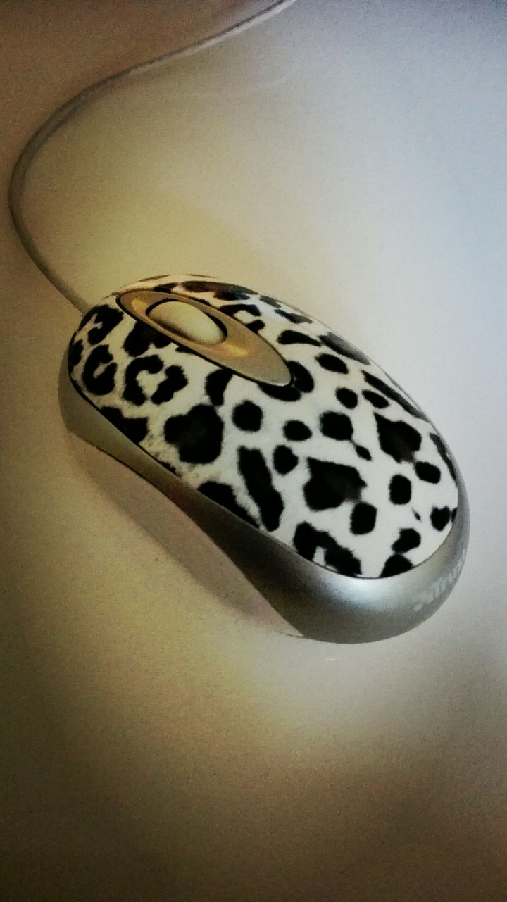 My favorite mouse