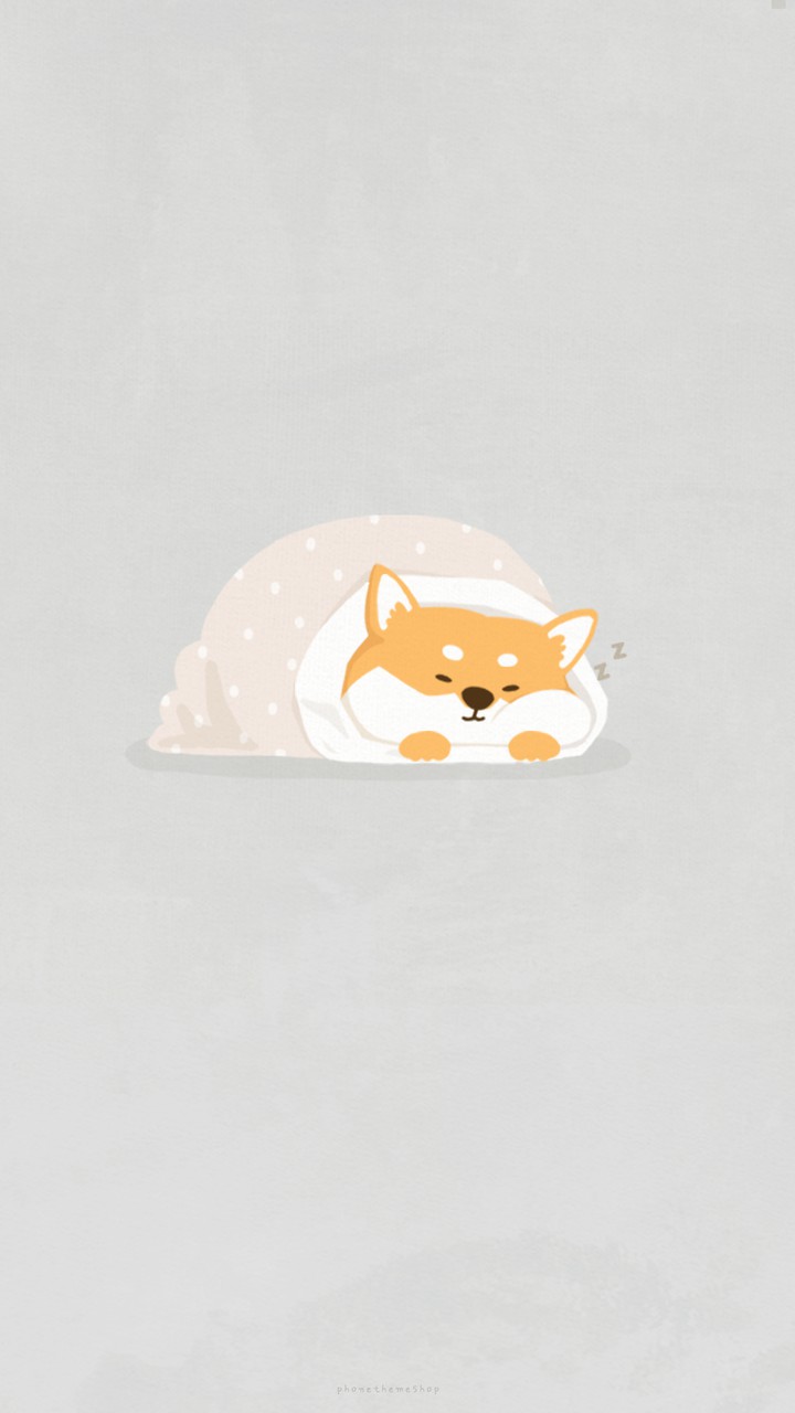 Sleepy shiba