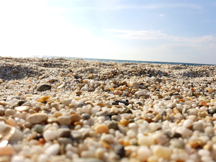 Mare