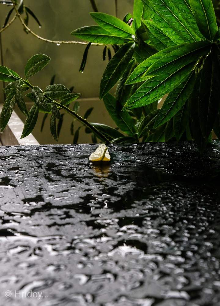 Rainy days