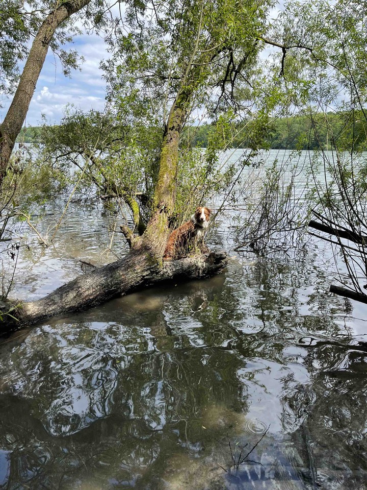 přehrada