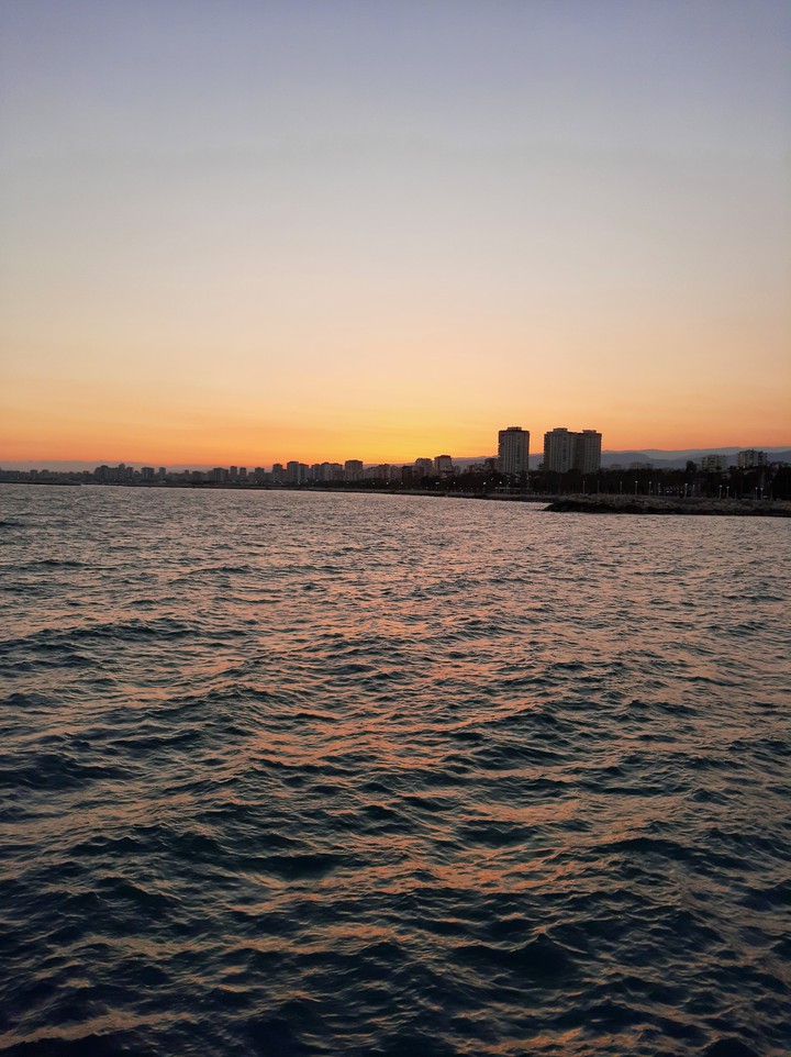 sea❤