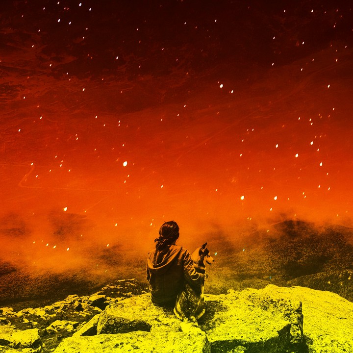 stars in the had