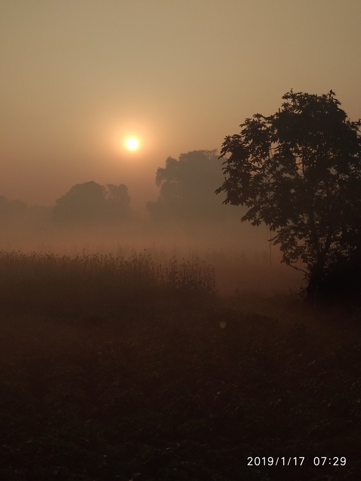 morning sound