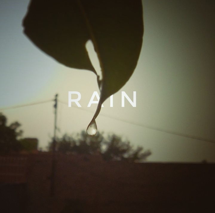 rain beauty