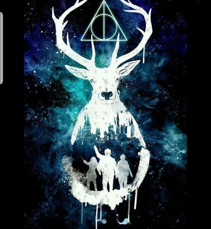 Which Harry Potter episode is your favourite?