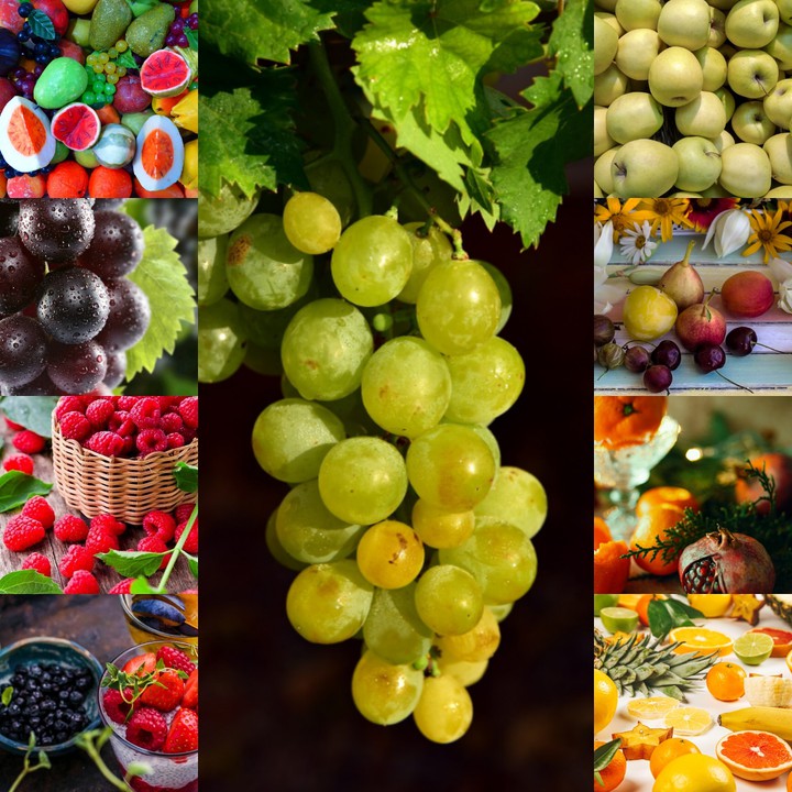berries and fruits