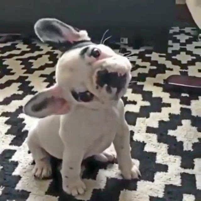 ♥️♥️♥️