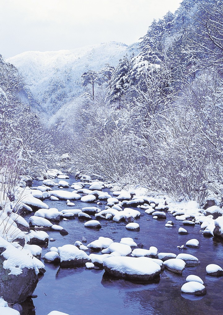 겨울의전경