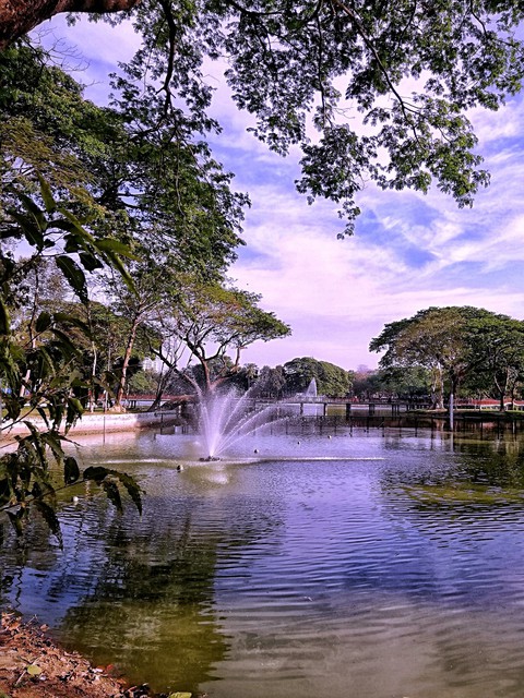 my photo art
