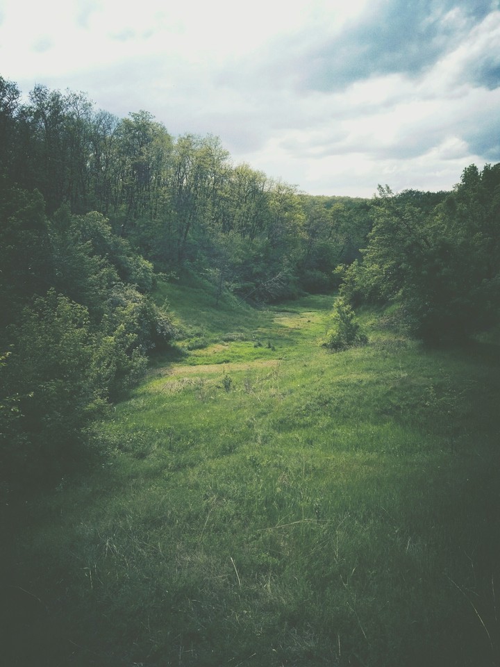 green hill