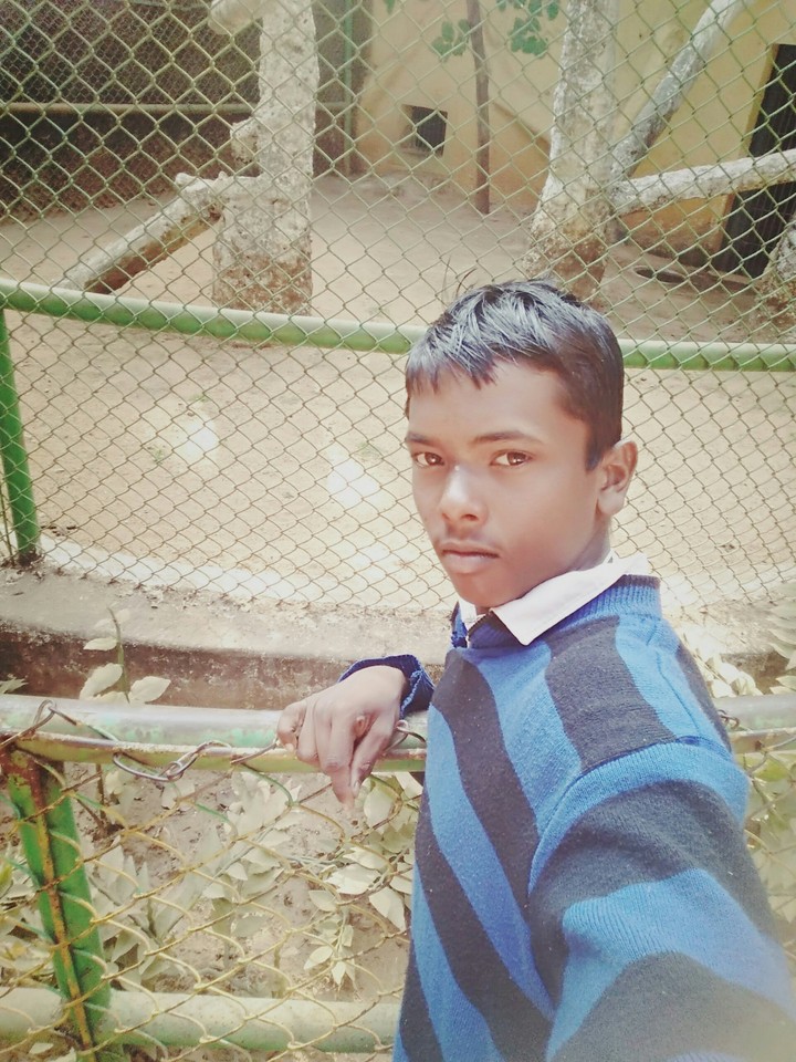 star mikar