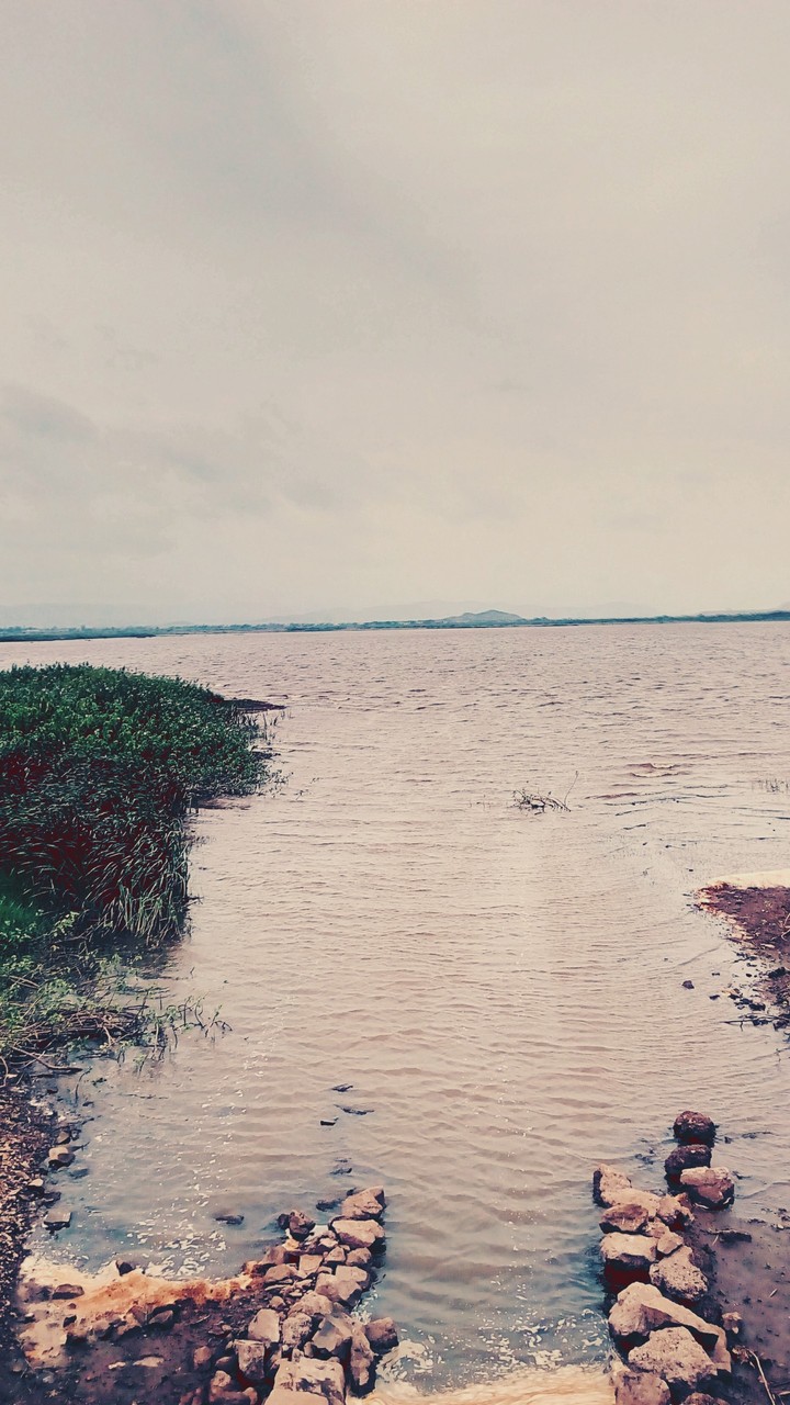 a view from a village roadside lake..