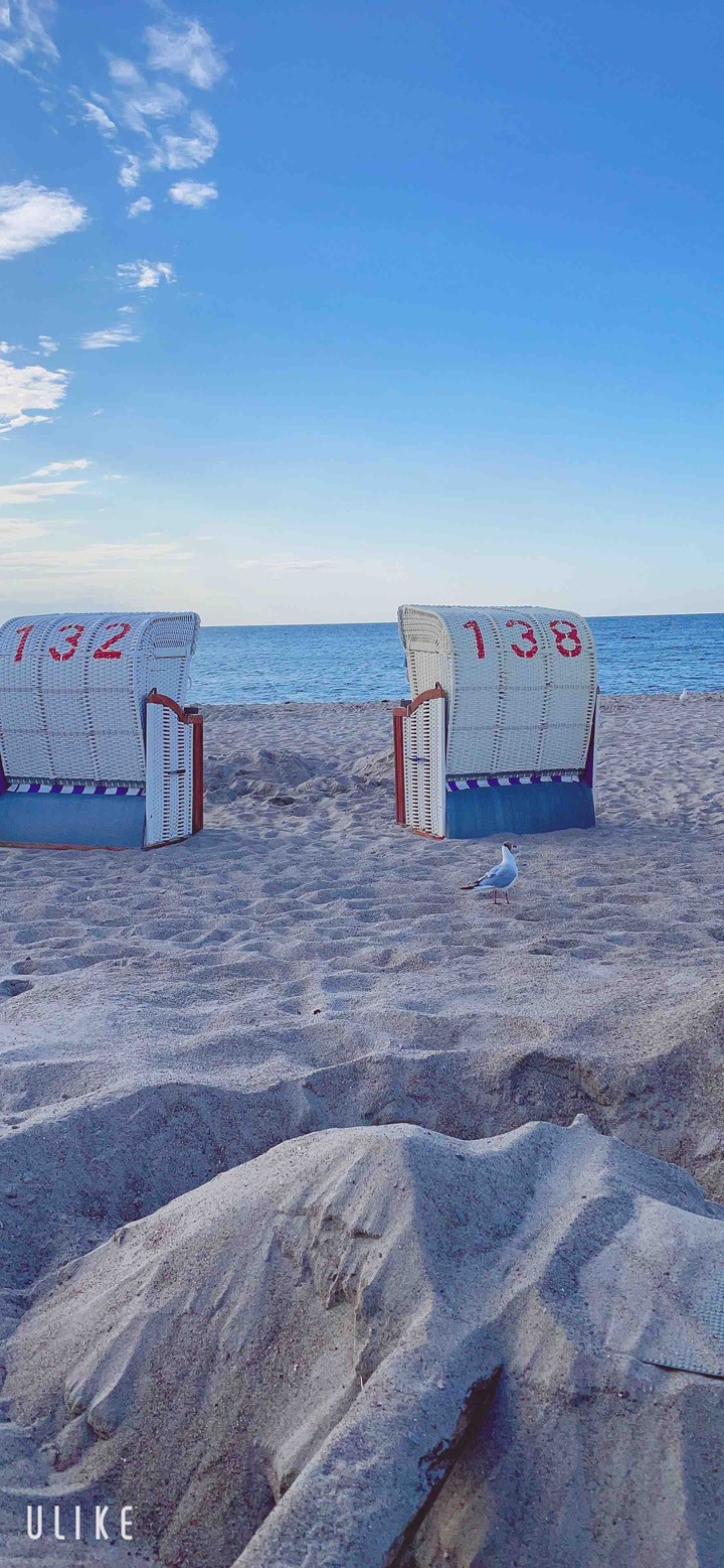 Strandkörbe