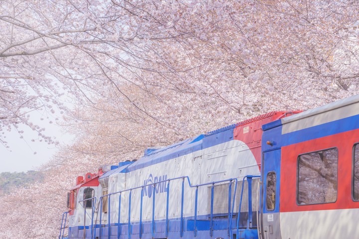 spring