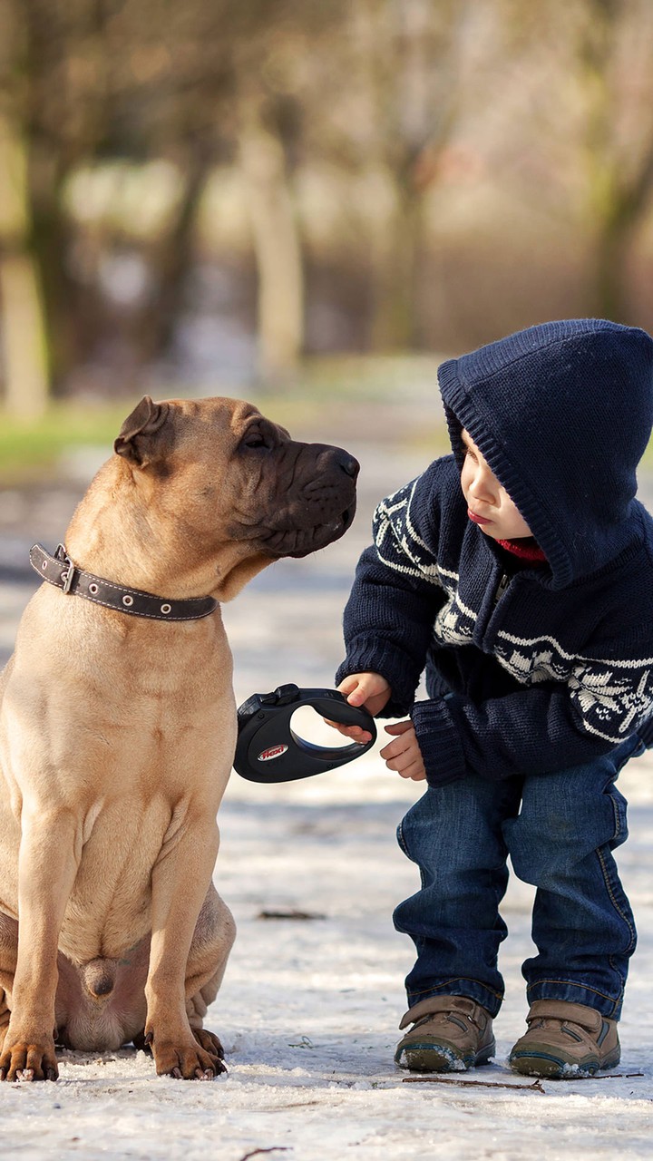 Freunde