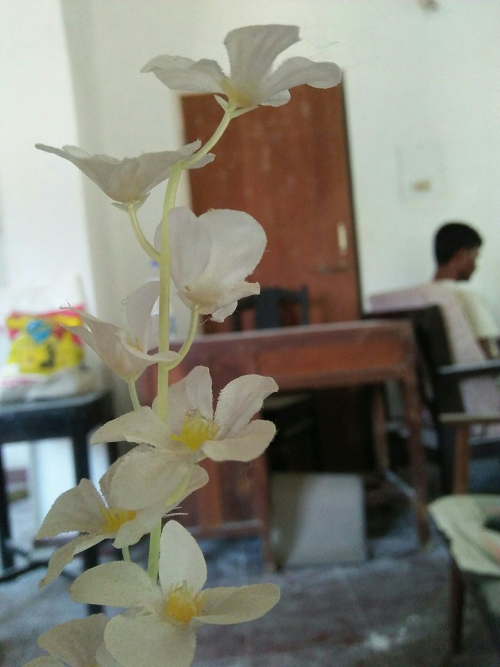 Ready med flower