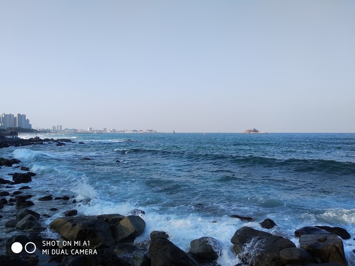 Sea