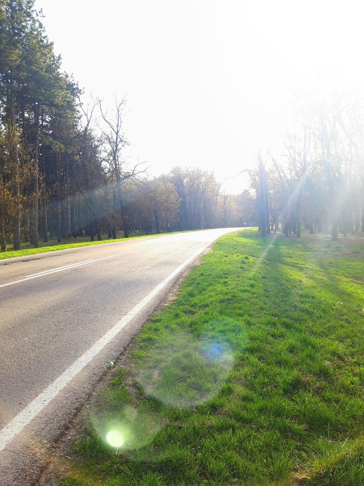 Walk