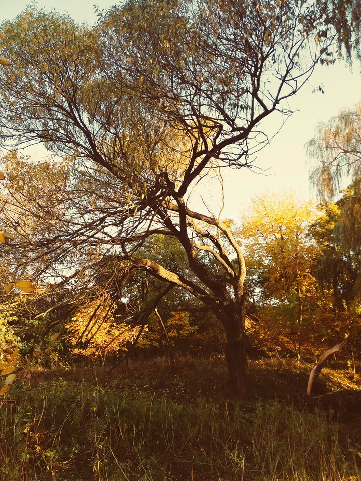 осінь