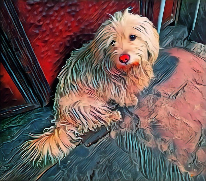 MASCOTA, TAXCO DE ALARCÓN, GRO.