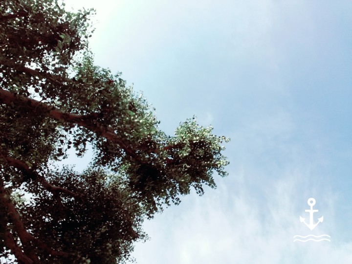 beautiful view