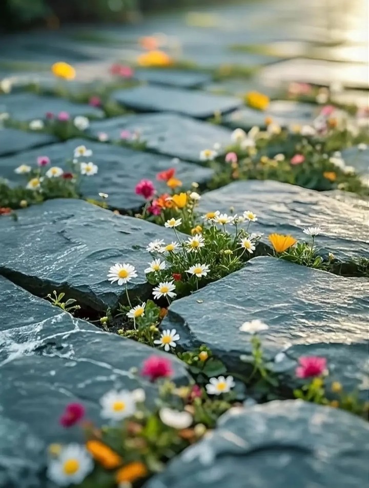 sfondi groundcover, spring