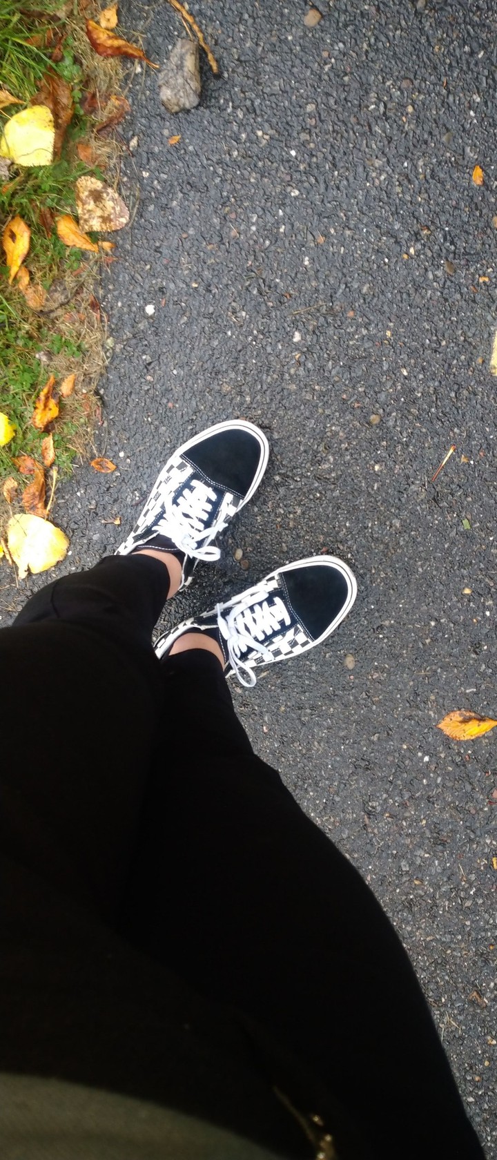 My favorite Vans