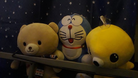 teddy