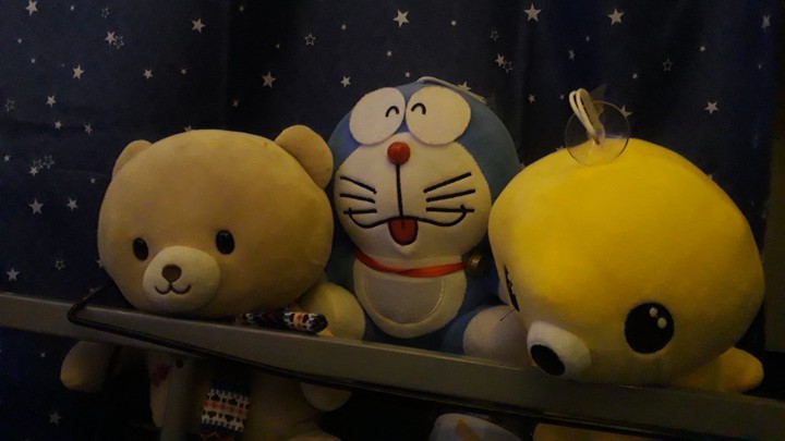 teddy