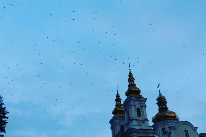 Church and birds