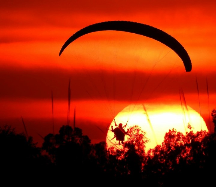 Flying