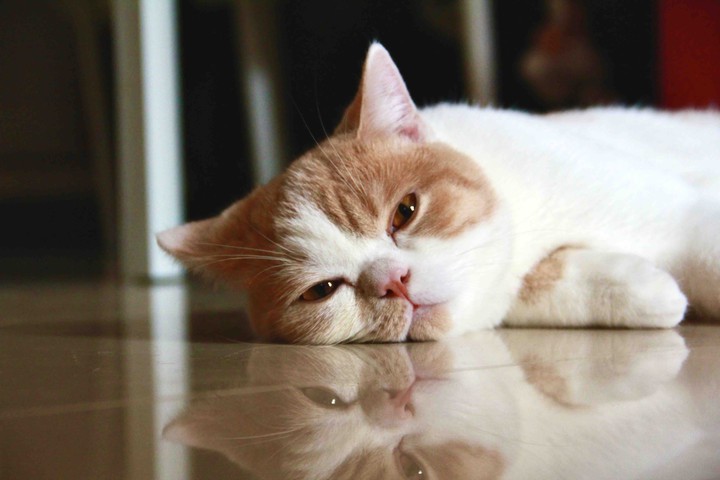 So Cute!