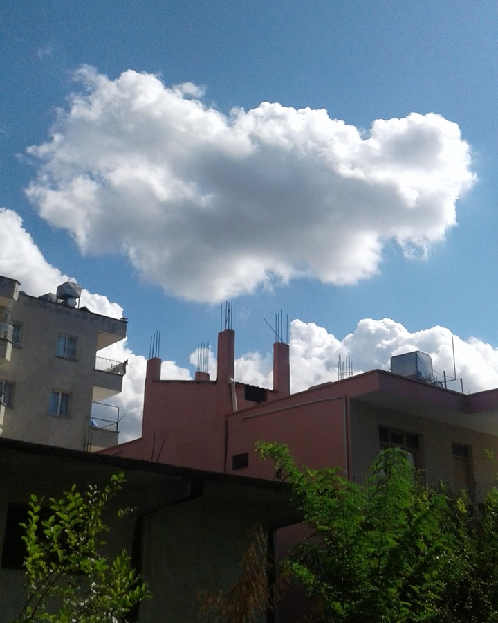 my house 