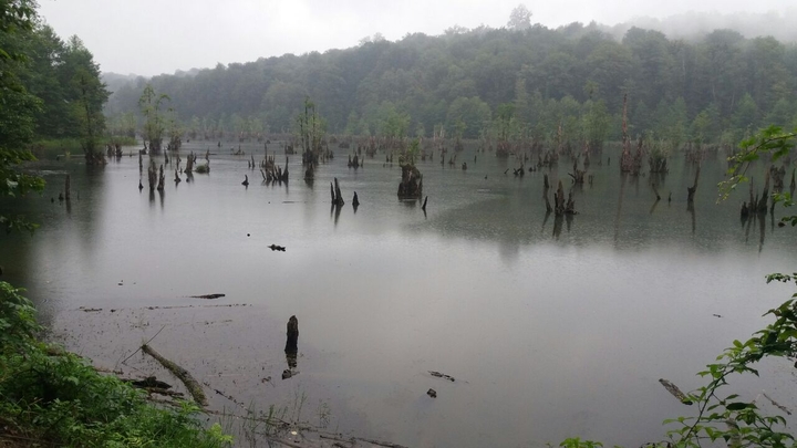 Ghost lake north of Iran, nur city