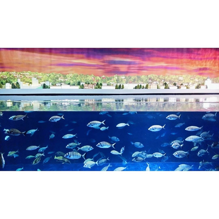 aquarium