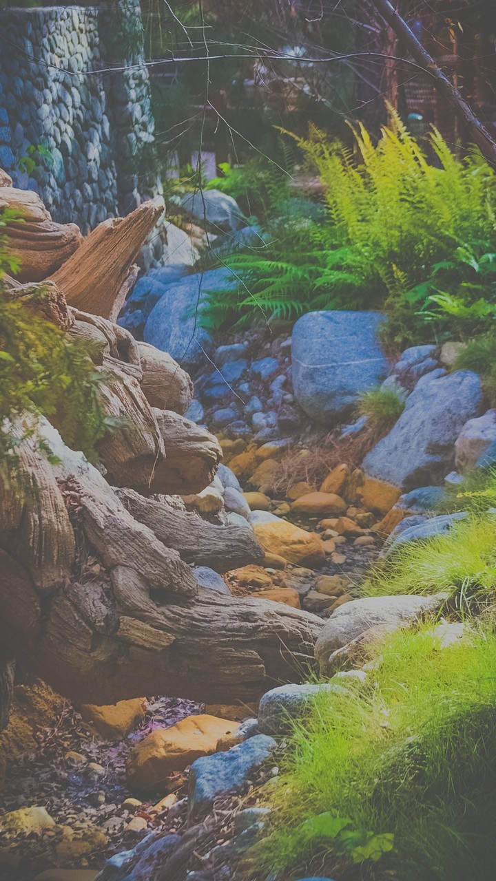 Methodical Nature