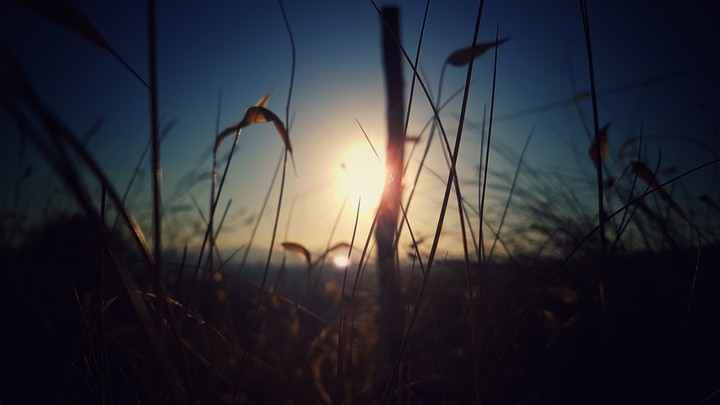 Dawn