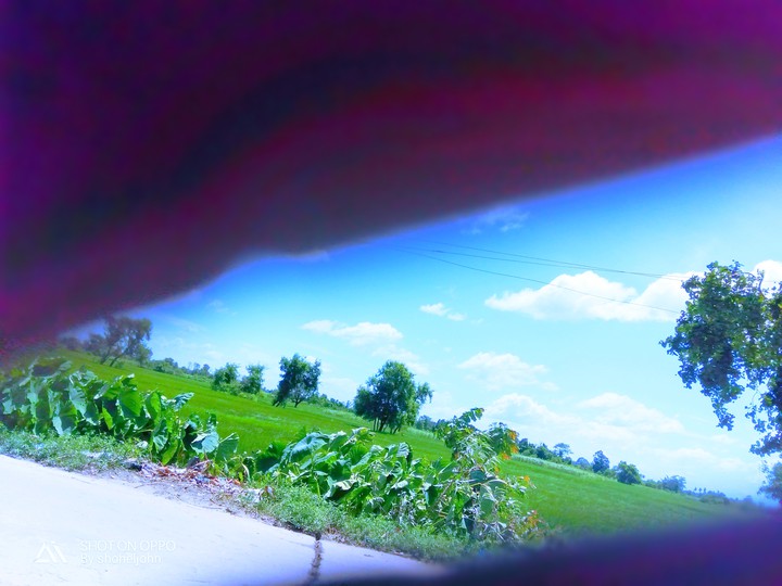 Nature