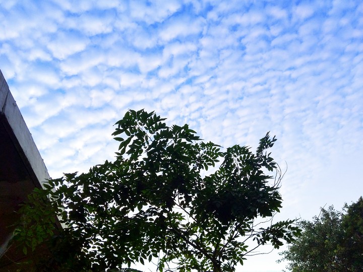 clouds