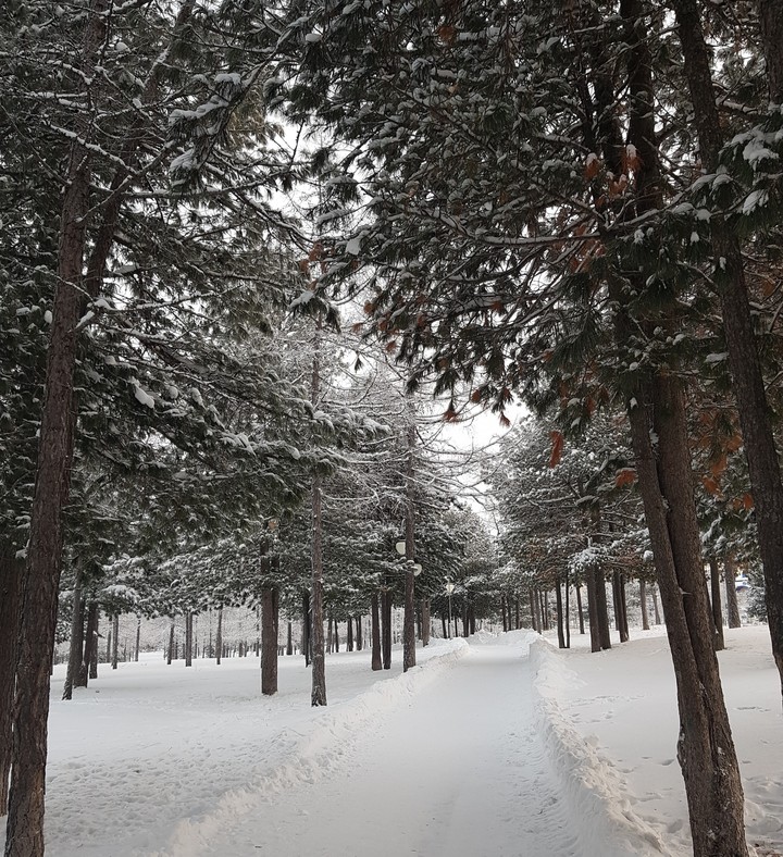 зима