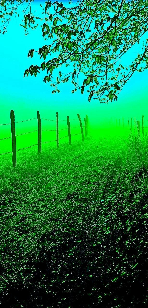 Nature