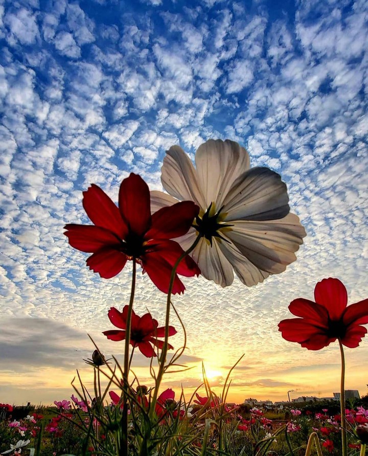 sky