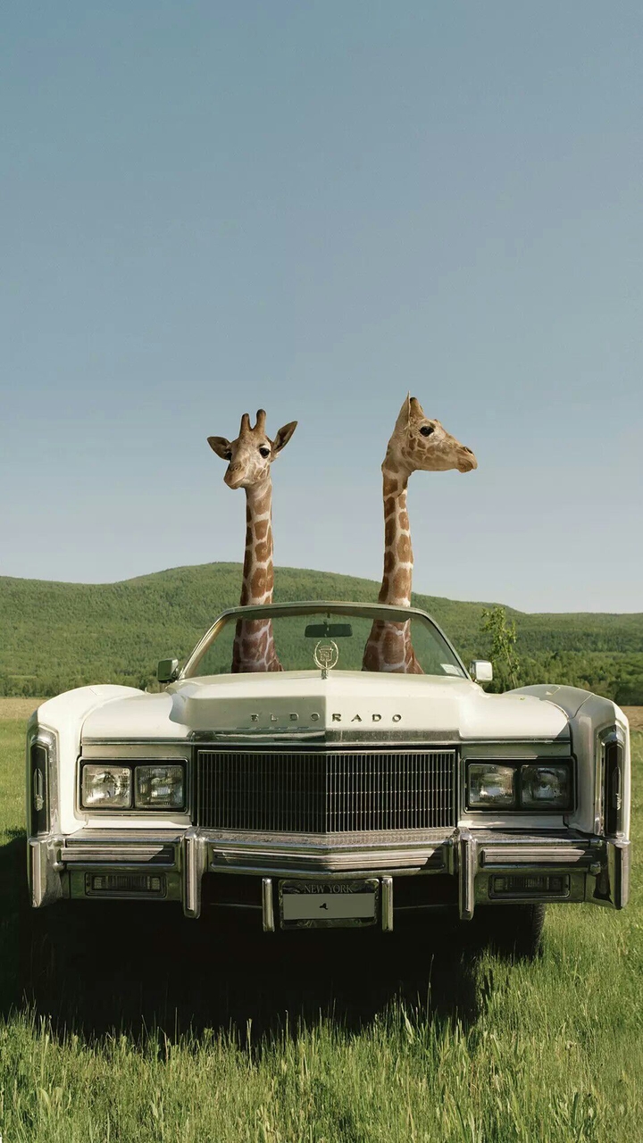 Cadillac love