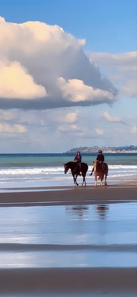 sfondi horizon, horse
