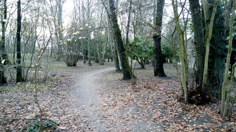 dans les bois