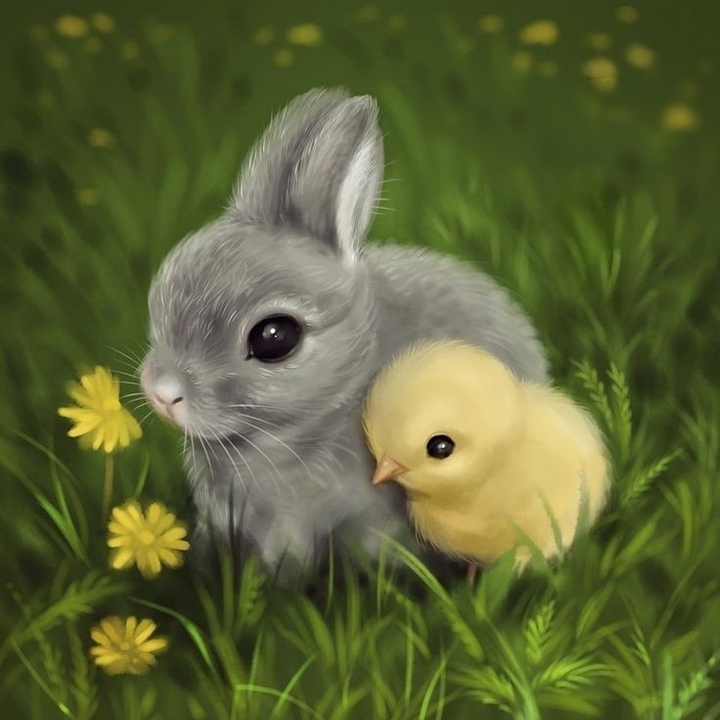 cute