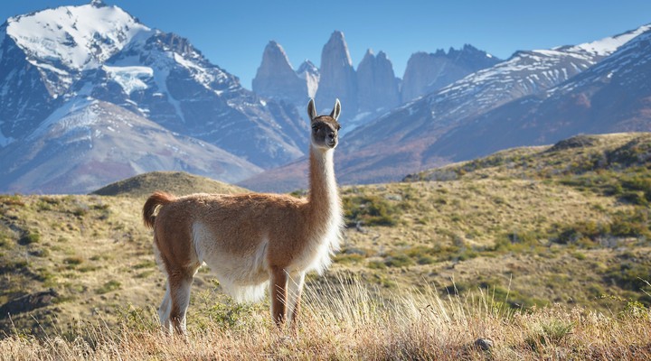 Chile