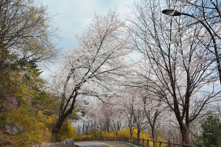 남산이미지