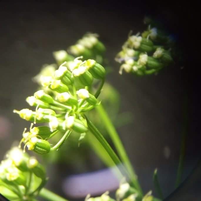 Details under a microscope!